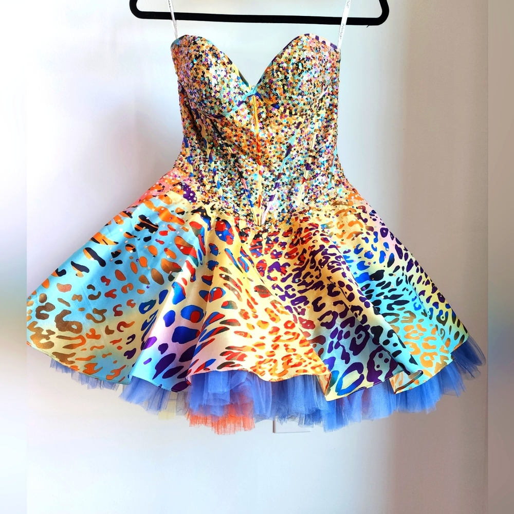 Tutu Bustier dress